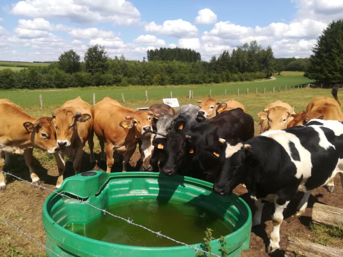 La Ferme Oubliee Villa Paliseul ภายนอก รูปภาพ